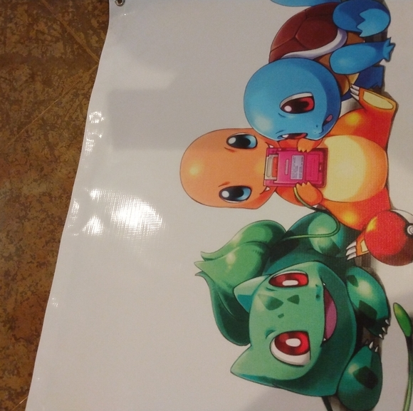 Pokemon Vinyl Banner - Picture 2 of 4